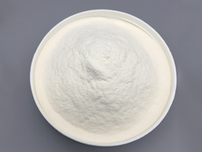 Polycarboxylate powder